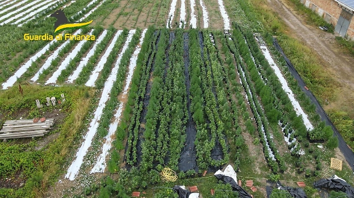 2022-07-18_118361039_1658143382456