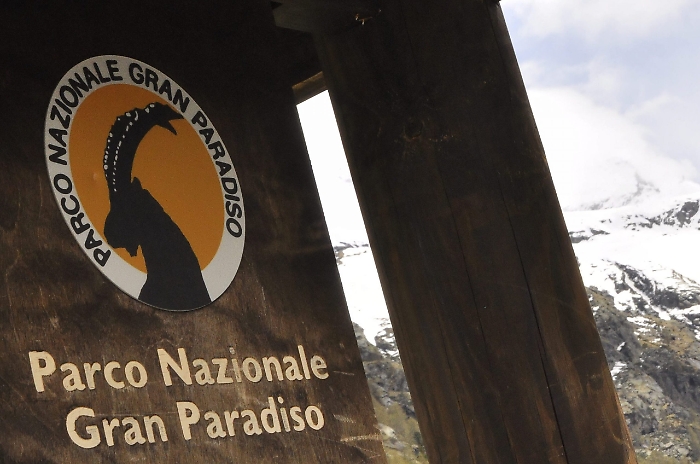 2022-07-18_118374686_1658165821915