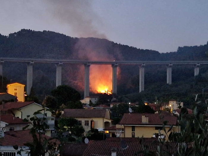 2022-07-18_118379416_1658179382969