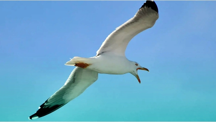 184907588-3d28d6db-cf84-43a7-8550-a220f8c8d26c