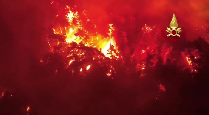 2022-07-20_120359843_1658310694328