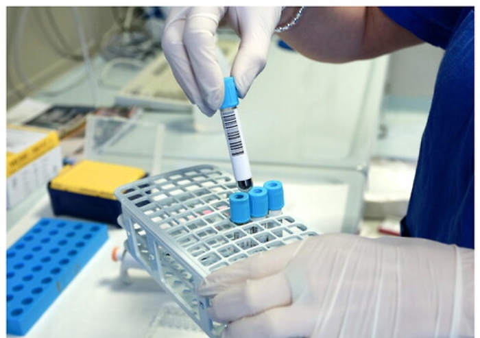 135138499-7e4579d2-1a39-453b-b2ce-8c4094278292