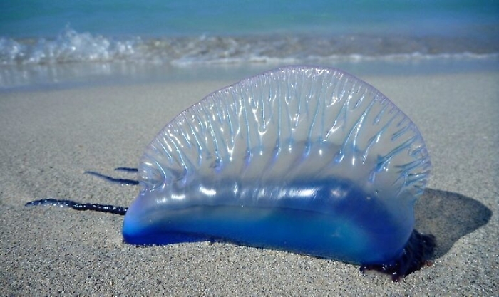 185543545-48a3b416-c03d-4270-88f9-017cf1e62c35