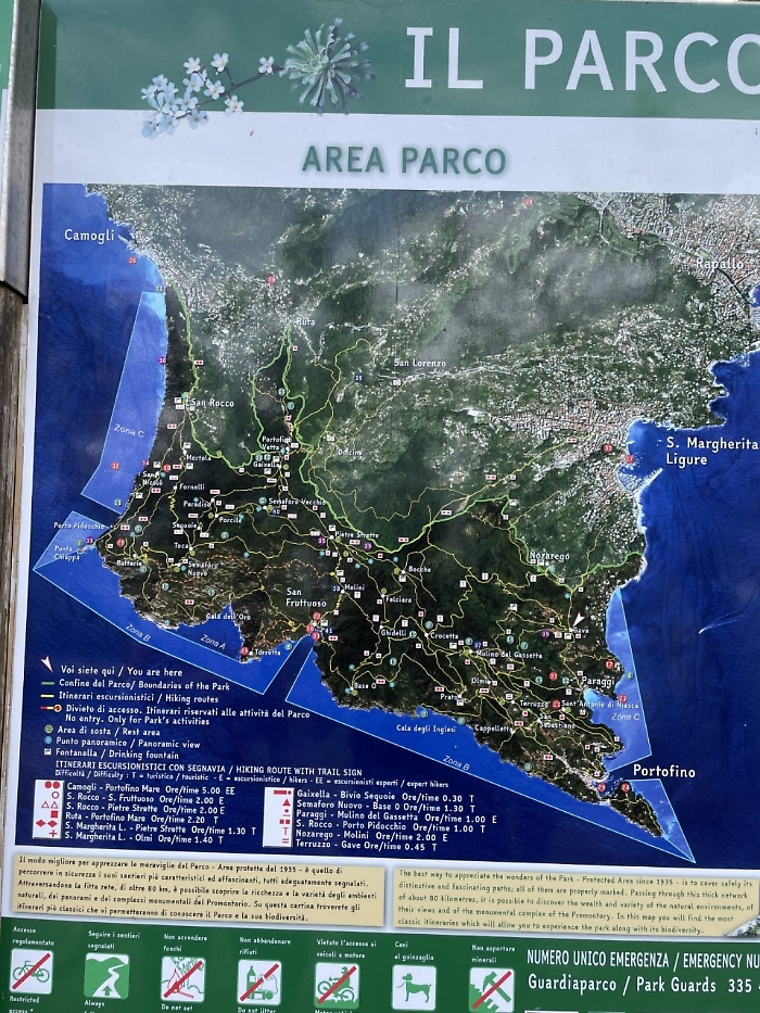 2022-07-23_123386226_1658565006969