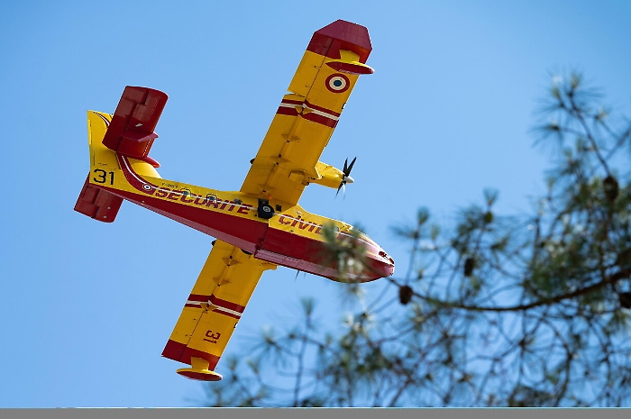 2022-07-23_123387527_1658571392235