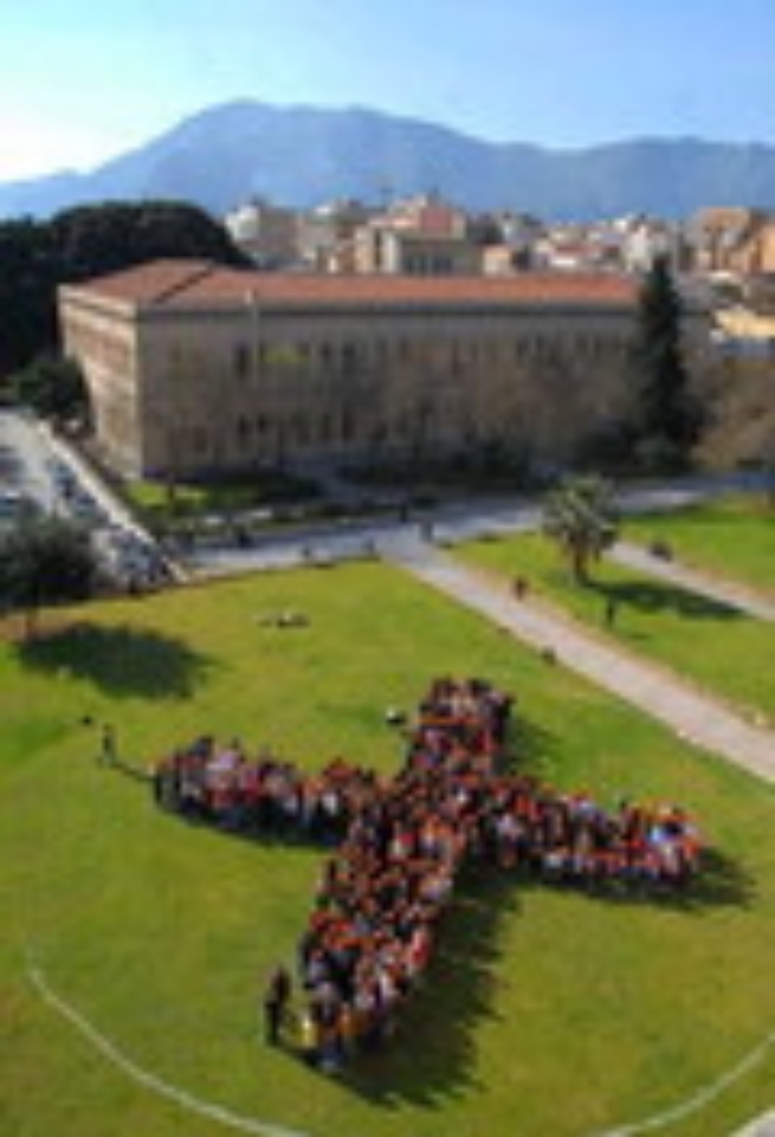 131842453-7172475f-c9c2-49f1-b84b-0953334fb5b4