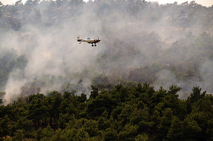 2022-07-25_125367410_1658744192650