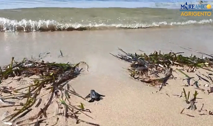 160416003-1d86569c-7f62-49f4-b612-9012b207d4c8