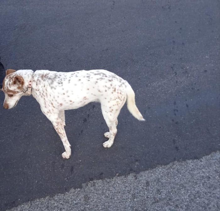 2022-07-29_129377702_1659118598035