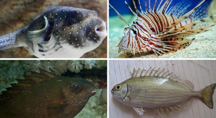 093655024-f7530e20-6564-47d0-a414-95b7c0e3aaac