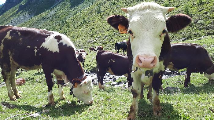 2022-08-04_104392363_1659598641736