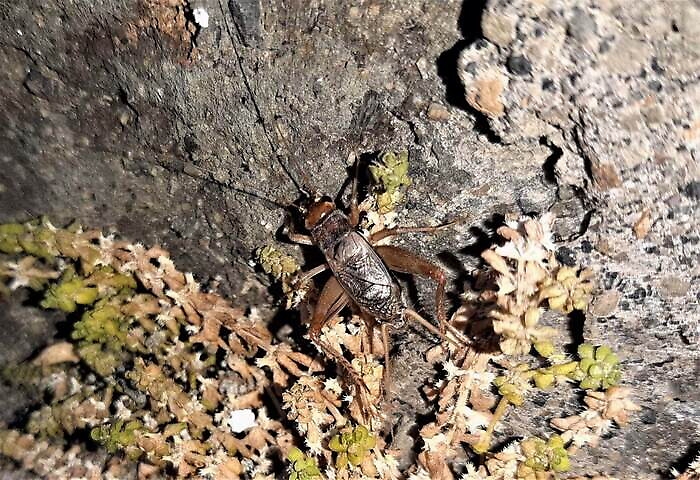 183542739-3ba26456-e951-4756-9e39-d48ecd0ee833