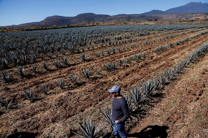 2022-08-05_105375670_1659698612271