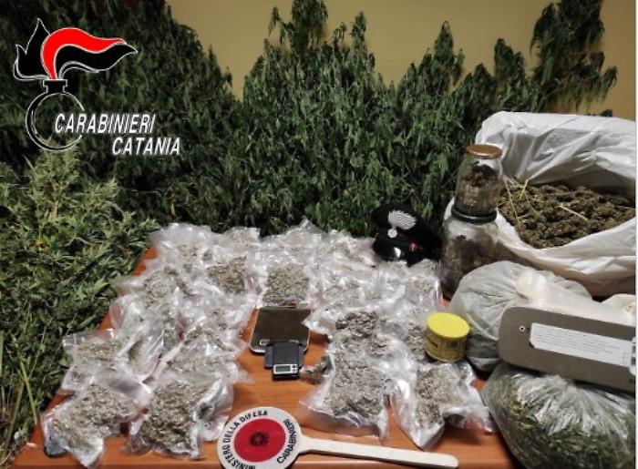 072150645-2d233609-4e4e-405a-9ad9-0f138de24e65