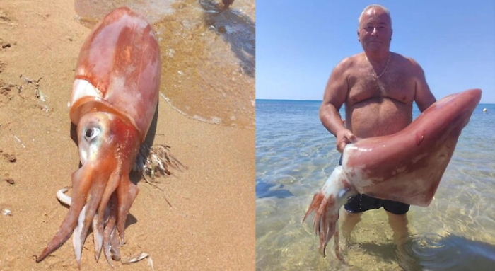 082917619-d8e11fce-3cd5-4977-af2b-5d68f77b3fb8