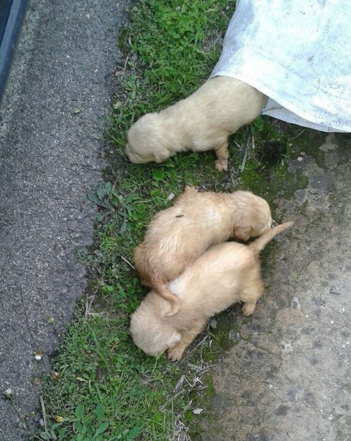 110716848-b8d8807f-5152-4be8-9c4e-f225af046abc