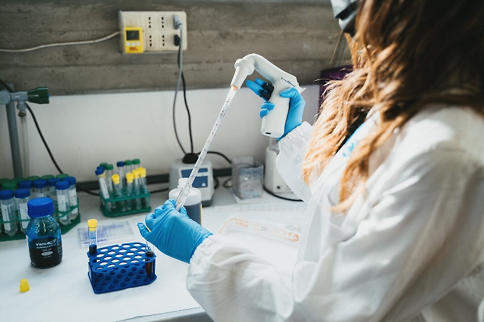 141500086-ae9180ae-6de8-4040-a063-099e51155bb2