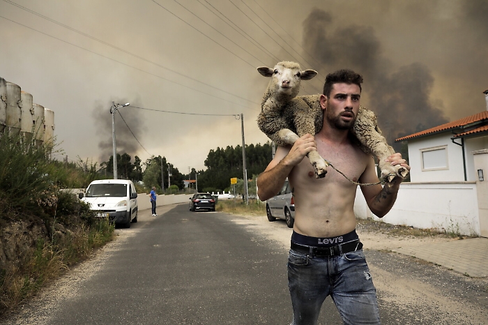 2022-08-11_111384959_1660218273874