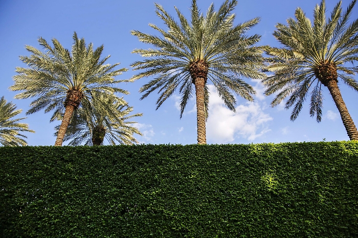 2022-08-12_112360980_1660266994109