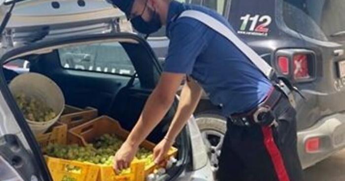 141336475-45271fa2-2235-4291-9602-c7e98013068a