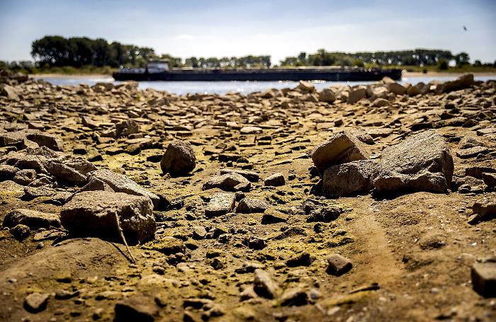 2022-08-16_116370928_1660648598598