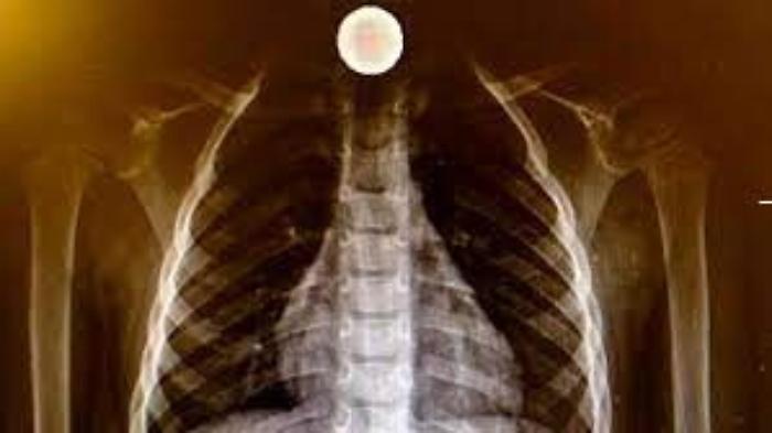 184330145-d1095bdf-da5d-4375-89c5-aee2792be44d