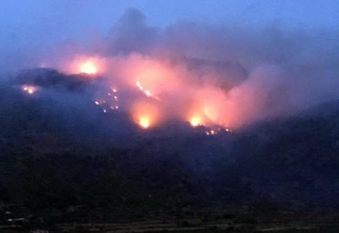 203823747-dc4f1b7d-dd2f-43bf-a253-f3e81c4e7d8e