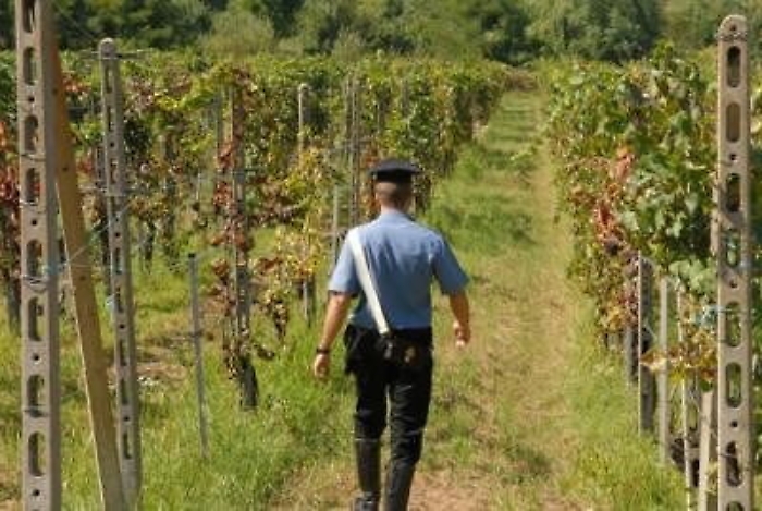 101041639-ad2d5062-c285-428a-bf5f-0128b4136394