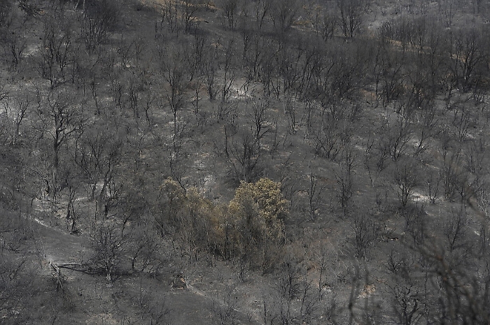 2022-08-18_118383790_1660817496065