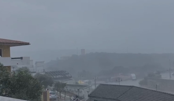 2022-08-19_119358546_1660908236031