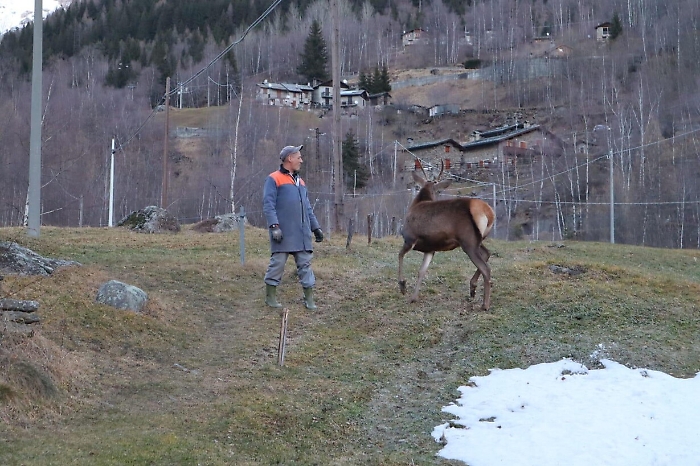 2022-08-19_119359132_1660910320182