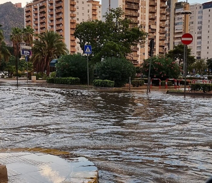 075137141-48208d34-beea-4066-ae57-50aab7403eb6