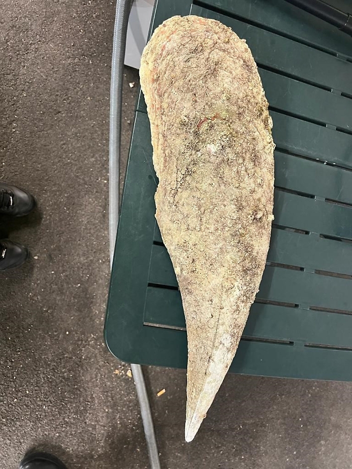 2022-08-24_124387616_1661329437143