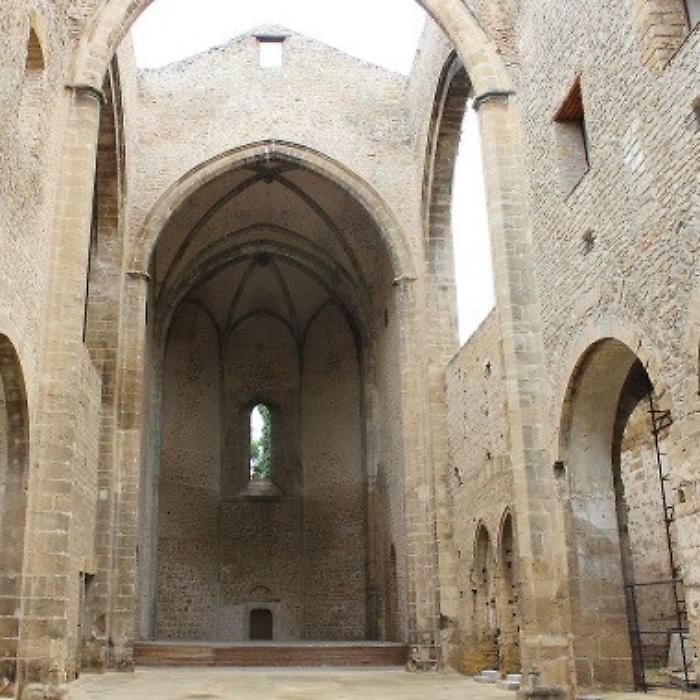Palermo e il "museo diffuso": la proposta di gestione dei privati tra Spasimo, Villa Niscemi e il rifugio di Palazzo di Citt&agrave;