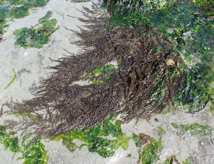 ADN20220831160233_1661955719950