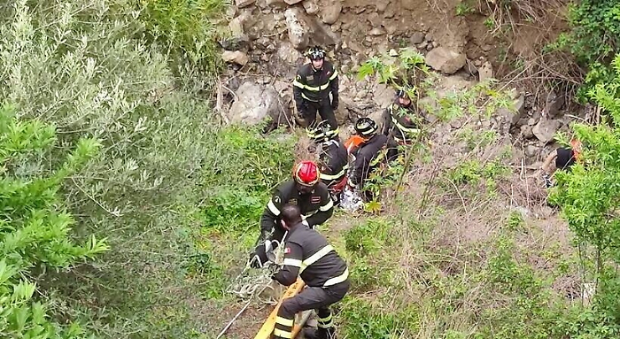 083404000-722333ff-7651-4a5f-9f4c-8b4e66577cc7