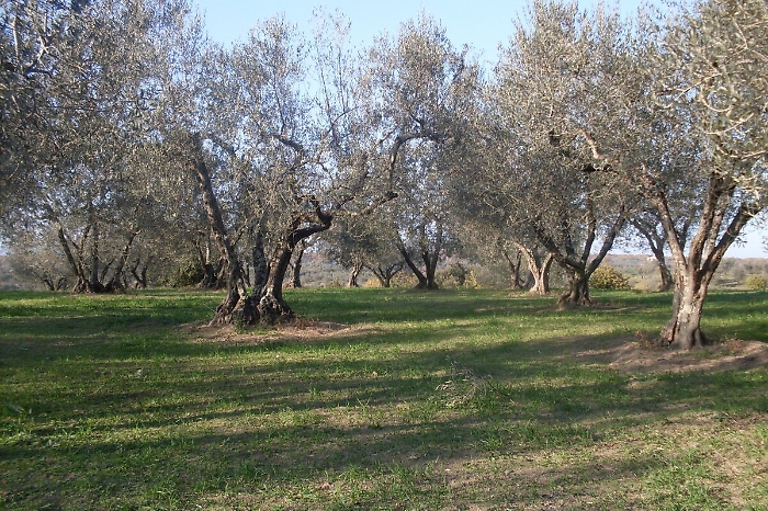 093627115-9bd51256-2aaf-4042-98d2-0682ebfd0b4a