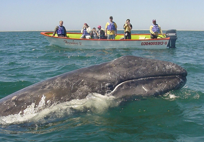 2022-09-10_110400381_1662801847989