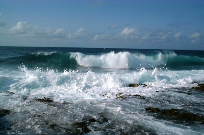 122337795-e5f71d32-0026-433d-a5d9-7a587f443332