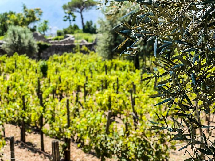 2022-09-19_119372527_1663585171627