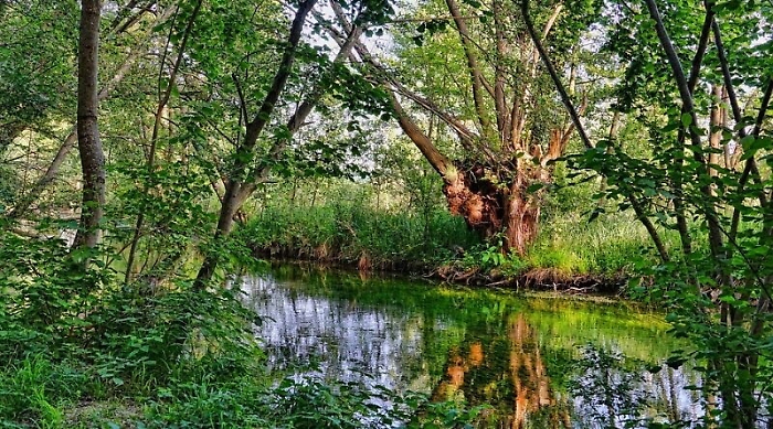 173623346-83262c4b-79a4-475c-b38d-5a3042f47199