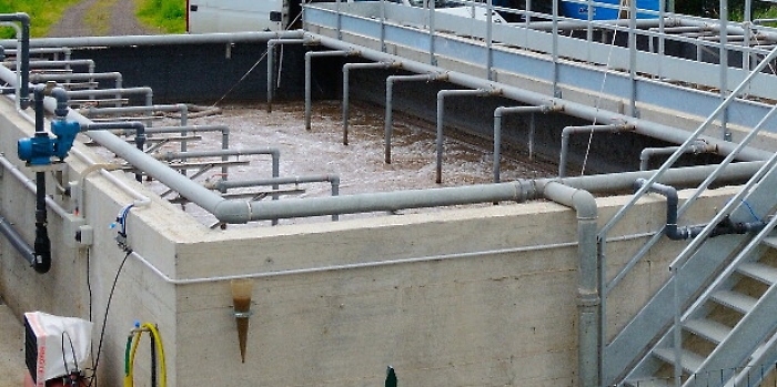 161456561-b6b26612-a56a-4cda-bbba-c2c9db7fb1fb