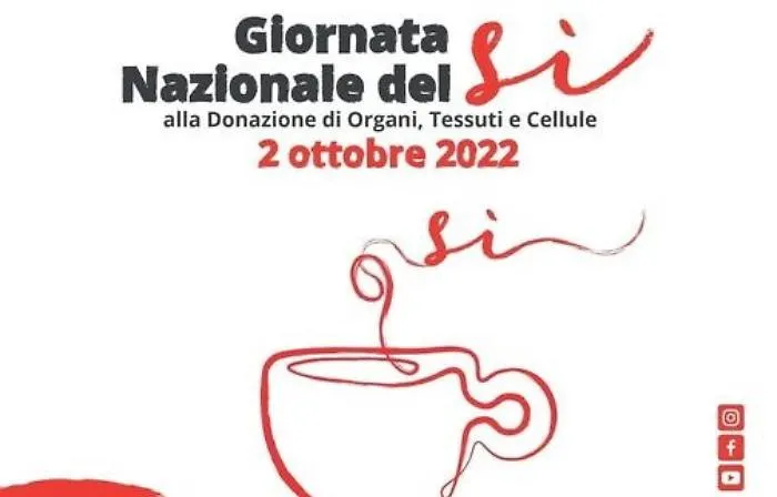 082542102-e0608cb7-184d-477a-97a0-972de7ba92c6