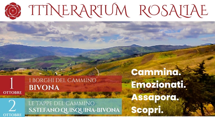 084814407-781b7da1-60ed-41f3-af39-d362522bccaf