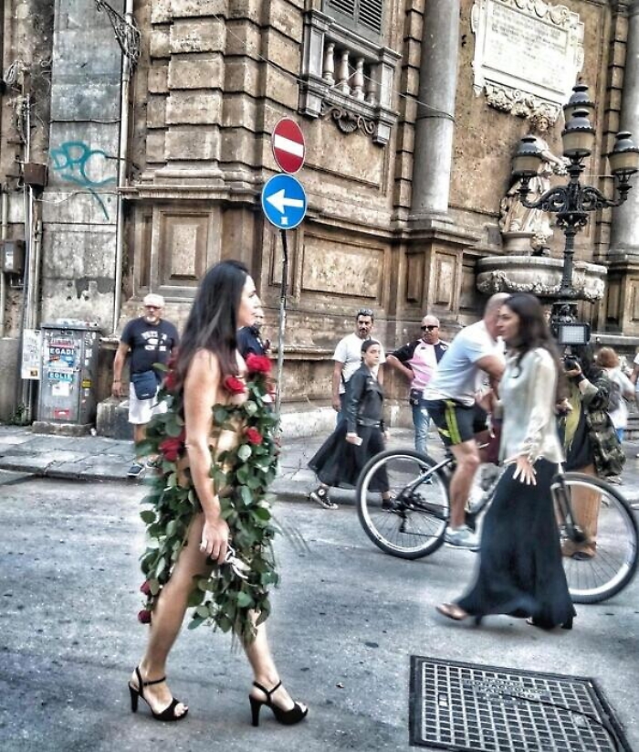 102417453-166eab2f-b3c6-43aa-a6a2-c429216eed2d