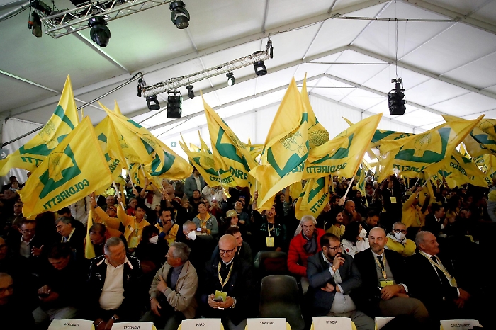 2022-10-02_102394092_1664724279843