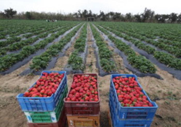 194928524-26d967fa-0c2e-4e6c-b430-9a69818e6c9d