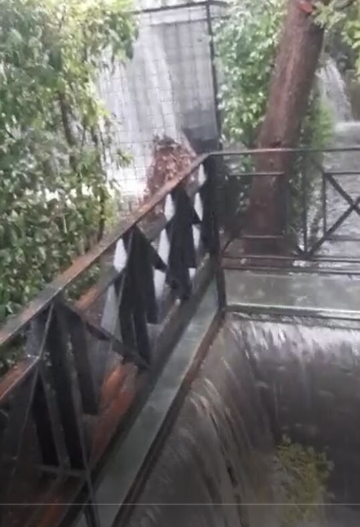 172734075-d1ed795f-a24f-4a75-aa3b-45c91827e563