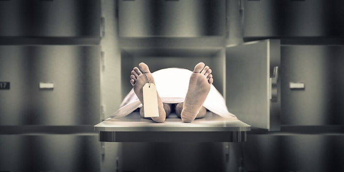 090839081-b1e6fbc0-499e-4f7f-a663-dd390445833e