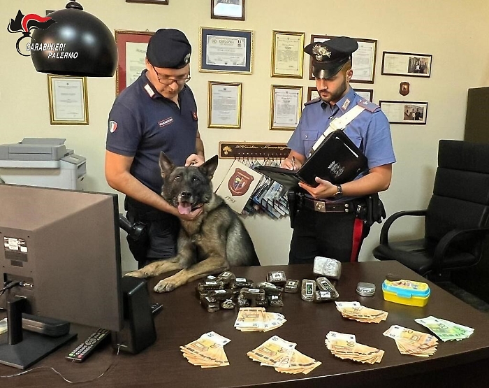 071050281-1712a2ee-06c9-4f22-9326-28a73d0a0f5b